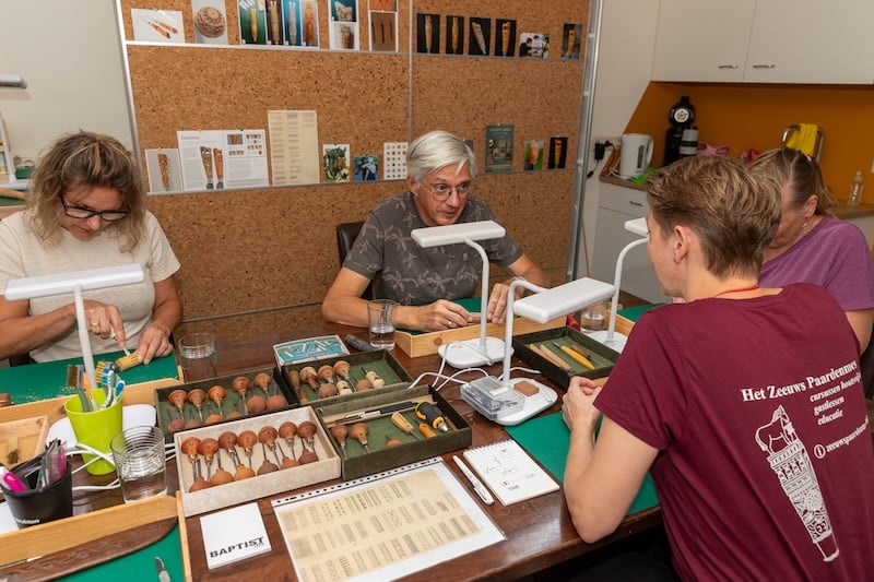Drie-daagse weekend cursus (beginners en gevorderden) - Afbeelding 2