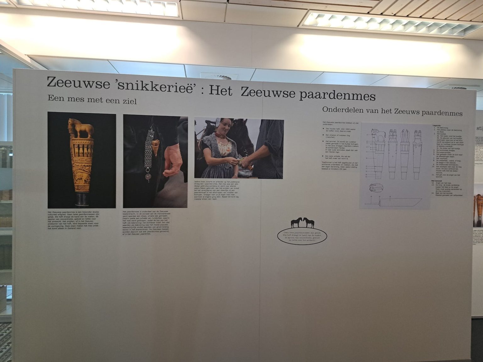Expo Zeeuws Paardenmes 00001